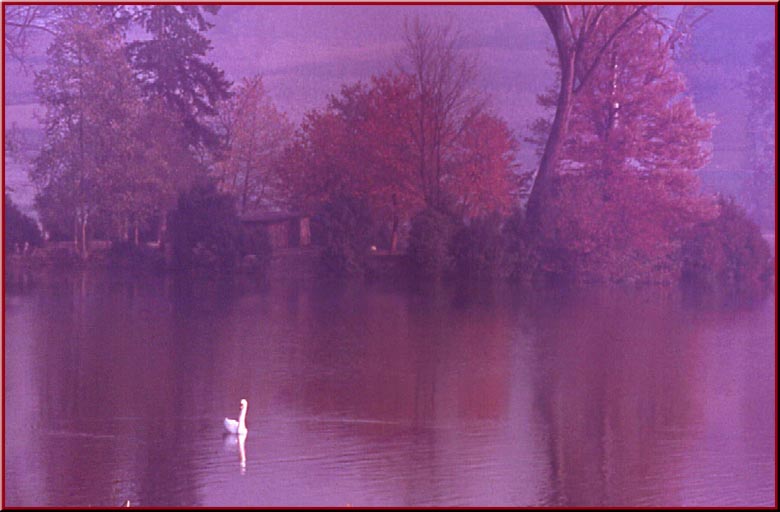 Rosso d''autunno